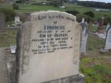 image of grave number 219100